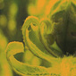 thumbnail of sample work
